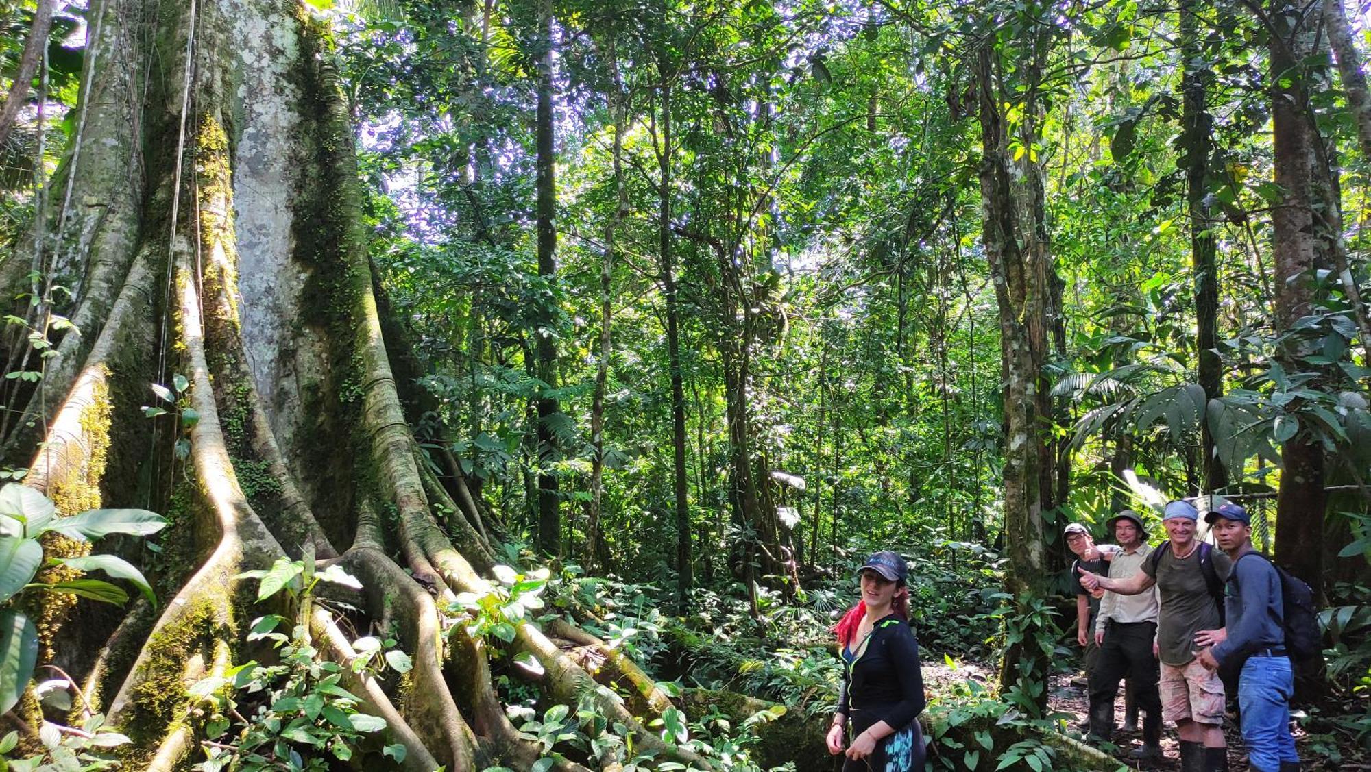 Ahuano Gaia Amazon Eco Lodge מראה חיצוני תמונה
