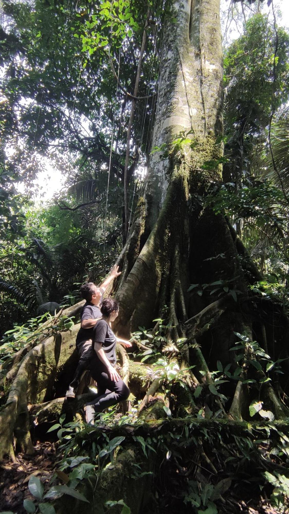 Ahuano Gaia Amazon Eco Lodge מראה חיצוני תמונה