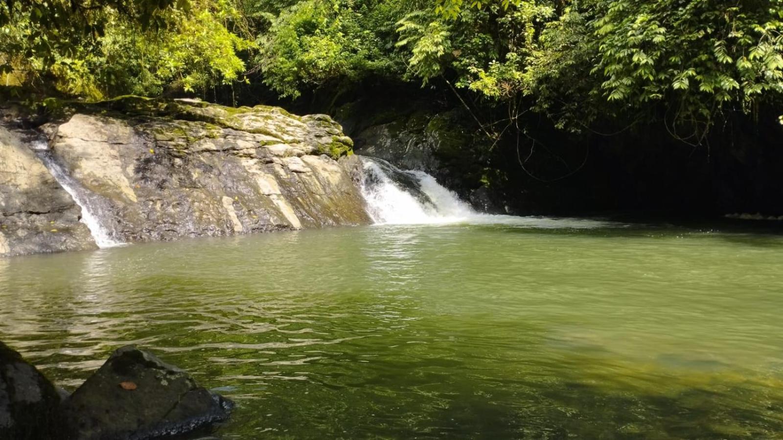 Ahuano Gaia Amazon Eco Lodge מראה חיצוני תמונה